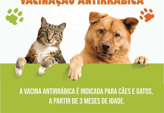  Vacinação Antirrábica Animal na Zona Rural